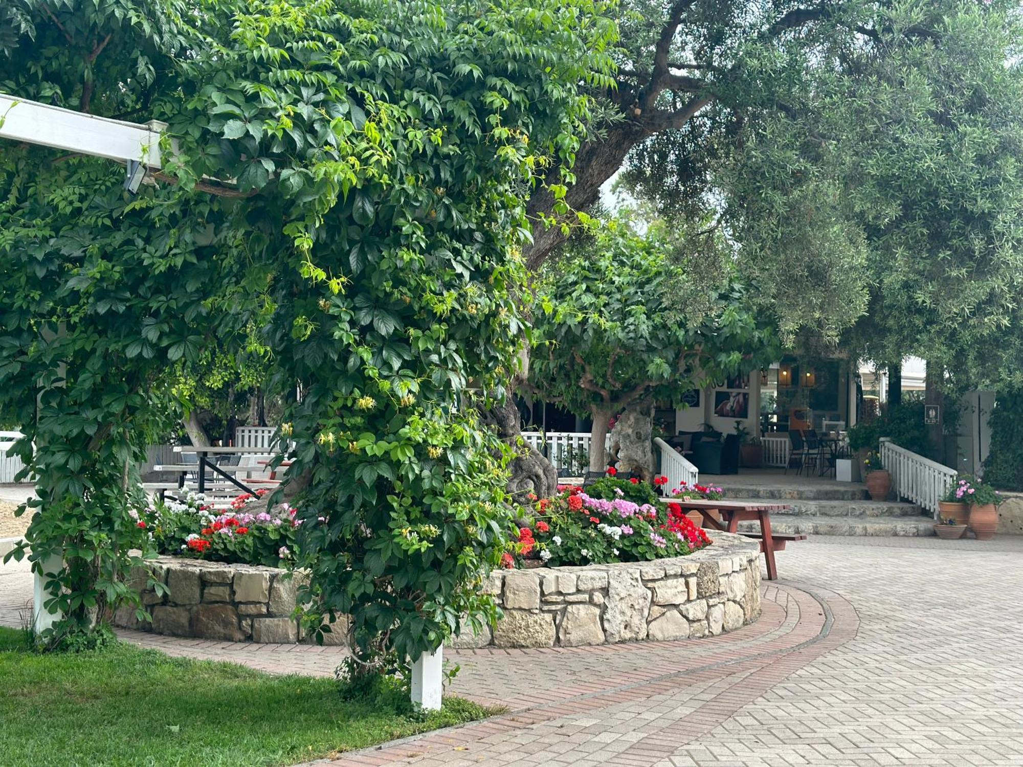 Amnisiades Apartments Картерос Экстерьер фото