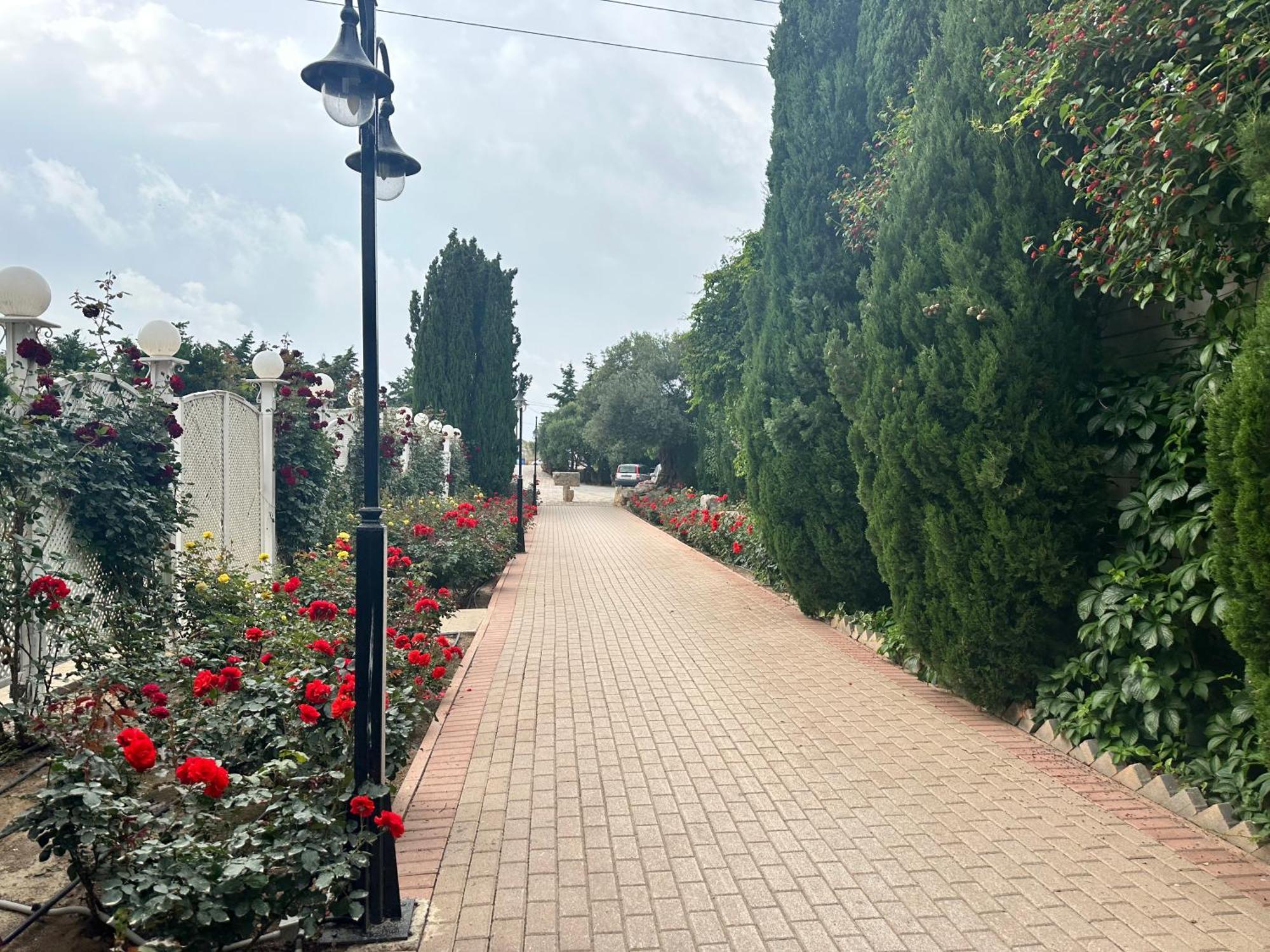 Amnisiades Apartments Картерос Экстерьер фото